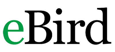 eBird