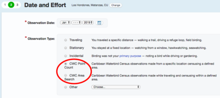 Log je gegevens voor de Caribische Watervogeltelling 2020 via de computer.