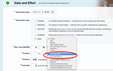 Log je gegevens voor de Caribische Watervogeltelling 2020 via mobiel.