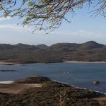 Birding by ear at Lake Goto, on Bonaire.