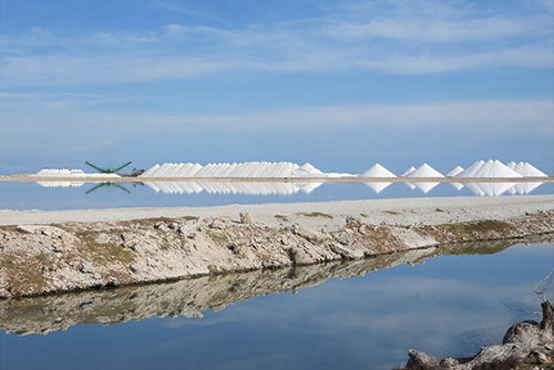 Bonaire's famous Salt Ponds.